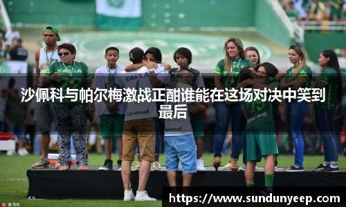 沙佩科与帕尔梅激战正酣谁能在这场对决中笑到最后