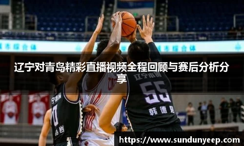 辽宁对青岛精彩直播视频全程回顾与赛后分析分享