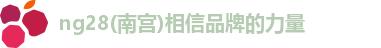 ng28相信品牌的力量